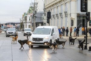 Restricción de permisos temporales