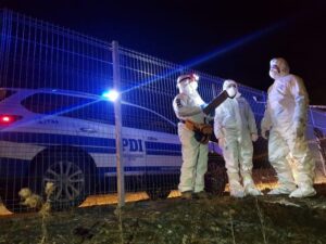 Hombre fue encontrado muerto de hipotermia en sitio eriazo en Puerto Natales