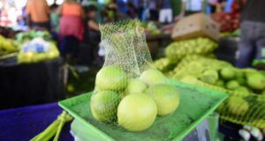 China autoriza la entrada de frutos cítricos chilenos a su mercado
