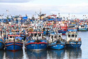 Pese a Coronavirus y crisis económica, pesca del erizo presenta buen inicio de temporada