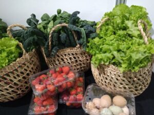 Invitan a participar de charlas de producción orgánica