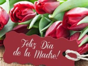 Emprendedores y sus ofertas para este Día de la Madre