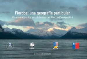 Cequa ofrece educación y cultura a través de su página web y redes sociales