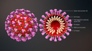 La ciencia todavía no puede asegurar que la inmunidad esté garantizada luego de recuperarse de COVID-19