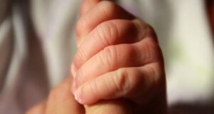 El martes la Comisión Mixta resolverá admisibilidad de proyecto de postnatal de emergencia