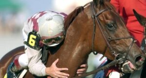 Drogó tanto a su caballo que lo tuvieron que sacrificar: confirman la sanción más dura de la hípica