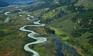 La importancia de la conservación de parques nacionales para el futuro de Magallanes