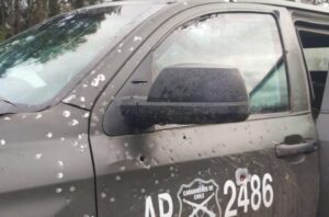 Conductor de camión y carabineros habrían sido atacados con armas de fuego en ruta de Contulmo