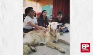 Adjudican proyecto para educación de perros online