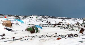 Científicos encuentran microplásticos en los ecosistemas presentes en la Antártica