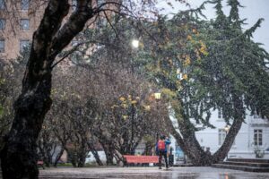 Magallanes llega a 1.088 casos de Covid-19: seis casos en las últimas horas