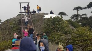 No entendieron: familias ingresan a Parque Nahuelbuta pese a estar cerrado por pandemia