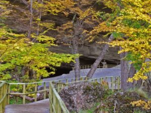 Conaf se prepara para la elaboración de nuevo Plan de Manejo del Monumento Natural Cueva del Milodón
