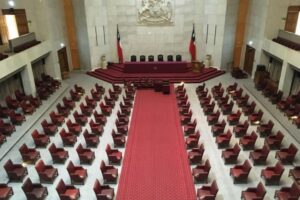 Las posturas de los parlamentarios magallánicos ante el postnatal de emergencia