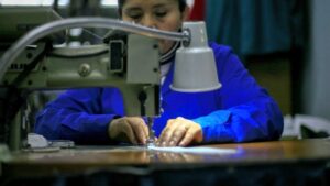 Abren convocatoria a fondos para negocios de magallánicas