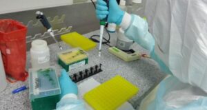 Investigadores chilenos crean diseño de rack magnético, producto vital para hacer test de Covid-19