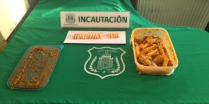 Personal de Gendarmería evitó ingreso de sustancia ilícita en encomienda a la cárcel