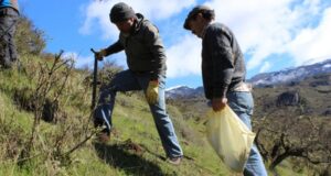 Conaf capacita a profesores en prevención de incendios forestales