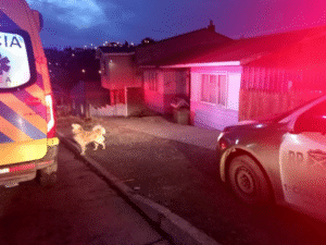 Mujer víctima de ataque con cuchillo por su hijo teme ser asesinada