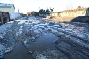 Los daños que la nieve y la escarcha  han dejado en las calles