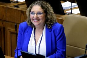 Diputada votó a favor del postnatal de emergencia
