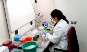 Continúa baja de casos nuevos de Covid-19: cuatro en las últimas horas con 137 exámenes de PCR realizados
