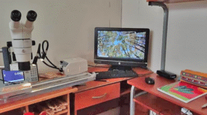 Habilitó un laboratorio en su pieza para continuar sus estudios en Magallanes