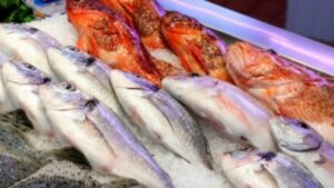 Salud califica de “poco predecible” la situación epidemiológica de Magallanes