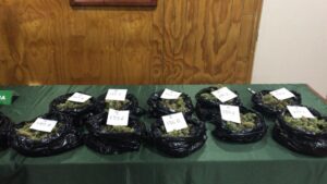 Investigación de drogas dejó a tres personas detenidas y más de 2 kilos de marihuana incautada