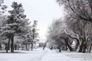 La nieve podría volver mañana a Punta Arenas