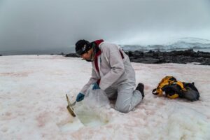 La más grande reunión de investigación polar será de forma virtual