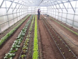 Cinco agricultores fueron beneficiados con proyectos de riego