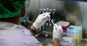 Resultados prometedores: dos vacunas contra la covid-19 producen respuesta inmunitaria y segura