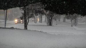 “Pensamos que este invierno nos iba afectar mucho más”