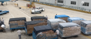 Avión Solidario Latam transportó 33 toneladas de ayuda a Magallanes