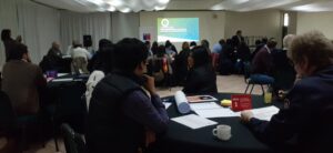 Punta Arenas se sumó a la discusión de una nueva Política Energética Nacional