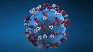 La OMS alerta que prevé que la pandemia del coronavirus 
