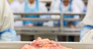 Descubren presencia de coronavirus sars-cov-2 en pollo brasileño exportado a China