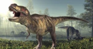 Los dinosaurios padecieron cáncer, según estudio científico