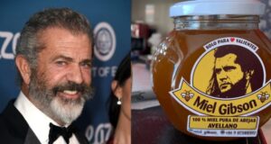 El curioso caso de Miel Gibson: ¿puede Mel Gibson demandar a la pequeña productora de miel chilena?