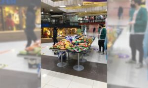 200 familias magallánicas serán beneficiadas a través de campaña “Yo te Apaño”
