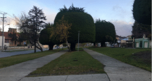 Minvu dispone consulta ciudadana para mejoramiento de áreas verdes de Avenida España