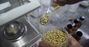 En medio de la recesión mundial, Argentina busca nuevos mercados
