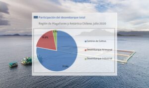 Se reactiva producción pesquera y actividad acuícola representa ya un 77% del total de los desembarques