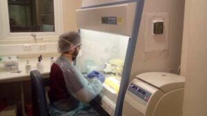 ANID presenta nuevo concurso para acelerar el desarrollo de la ciencia en regiones
