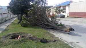 Vientos de más de 90 km/h provocaron graves estragos en la Región de Magallanes