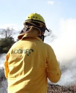 Conaf informa a la comunidad sobre procedimiento para otorgar aviso de quema