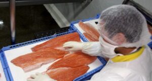 Sernapesca avanza con firma electrónica en certificados sanitarios para exportaciones a China