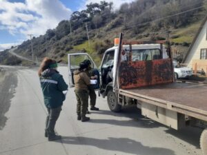 Conaf efectuó fiscalización para prevenir tala ilegal de árboles