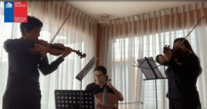Difusión de proyectos culturales de origen magallánico iniciará este miércoles